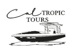 cal tropic tours belize