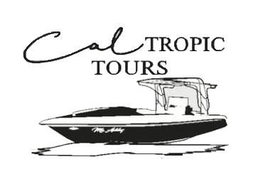 cal tropic tours belize